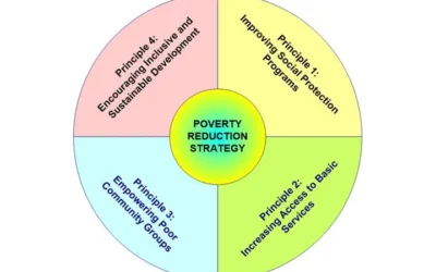 Why Some Poverty Relief Projects Fail: Insights from Behavioural Economics and Field Evidence
